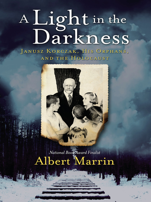 Title details for A Light in the Darkness by Albert Marrin - Wait list